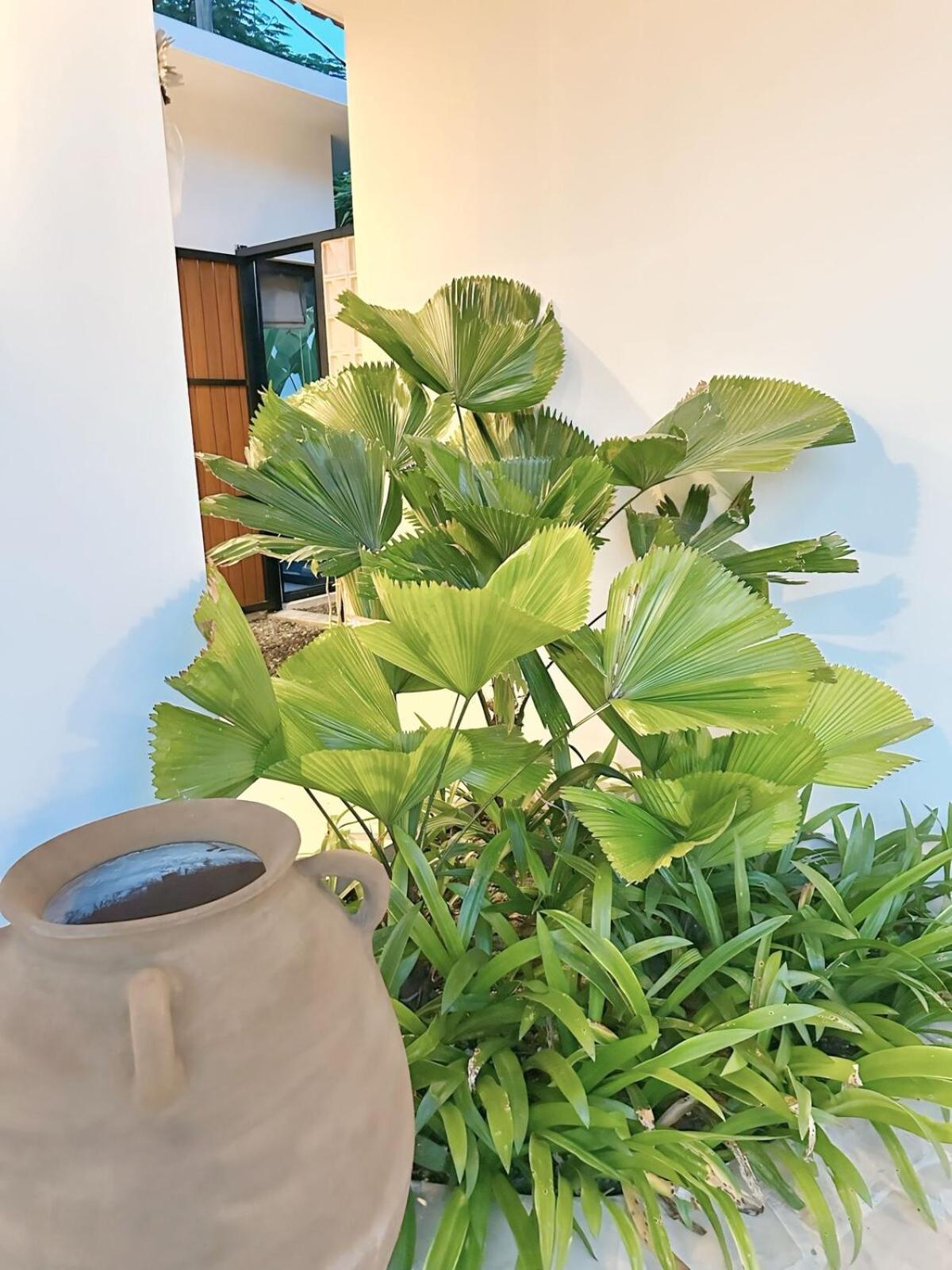 Amerta Villa Seminyak Kültér fotó